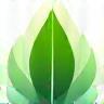 Eco-Friendly Car Wash Manchester